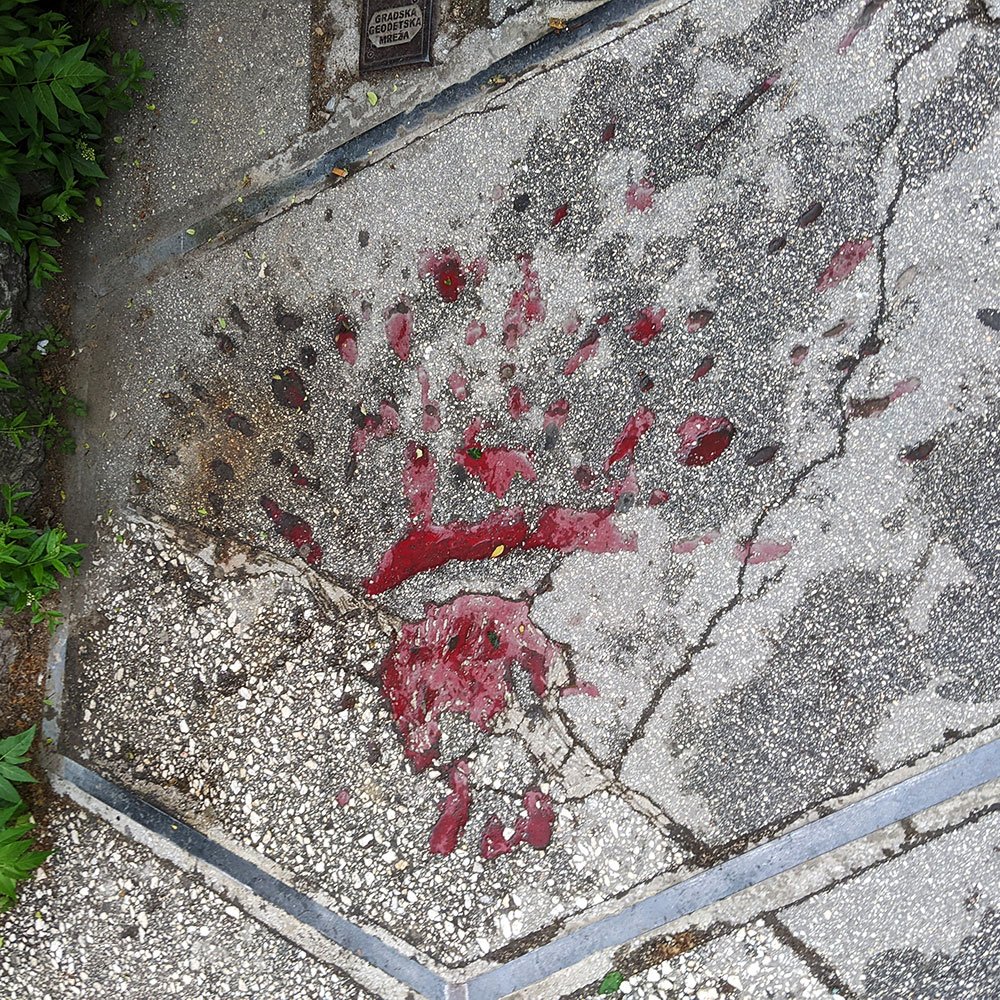 Sarajevo Rose